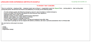 Security Guard Bouncer Experience Certificates