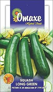 Check spelling or type a new query. Omaxe Seeds Squash Zucchini Green Long Exotic Seeds Kitchen Garden Packet Amazon In Garden Outdoors