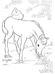 Incredible hulk free printable coloring pages. Coloring Pages Chickens Coloring Home