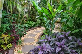 Tropical Breeze Is A Sydney Tropical Garden Filled With A Wide Variety Of Unusual Tropical Plants Tropical Landscaping Tropical Garden Tropical Garden Design