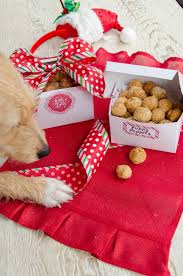 Appetizers Snacks Archives Blue Jean Chef Meredith Laurence Recipe Dog Cookies Homemade Dog Homemade Dog Cookies