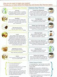 Isagenix Snack Ideas Examples And Forms
