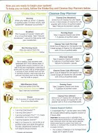 isagenix snack ideas examples and forms