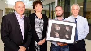 Research technician wins UCD Images of Research Competition 2014