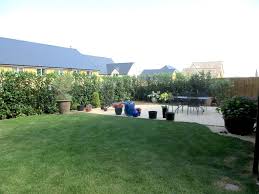 Smaller areas can also be screened using a variety of shrubs, especially evergreens. How To Use Plants For Screening Our Guide George Stone Gardens