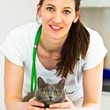 THE BEST 10 Veterinarians near LÄNGENFELD, TIROL, AUSTRIA