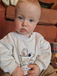 Can you change the background of a photo?