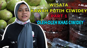 Akibatnya, tidak ada kegiatan wisata yang dapat dilakukan oleh anda maupun keluarga. Jajanan Khas Kawah Putih Ciwidey Bandung Youtube