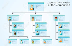 Organizational Chart Template Of The Corporation Business Hierarchy