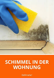 Die wohnung richtig lüften heißt: Schimmel In Der Wohnung Schimmel Wohnung Gruner Schimmel