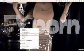 规避审查下载Pornhub- 法国屏蔽也能看