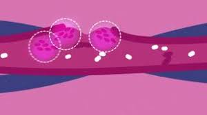 Covid 19 Guidance For The Public Nhlbi Nih