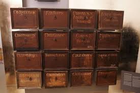 Image result for Pouchetia baumanniana