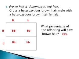 Sure, some people grow beards or moustaches, but even a full pirate's the reasons we lost our body hair are still debated. Genetics Practice Problems Ppt Download