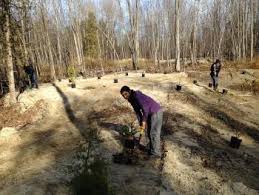 L'arbre est planté en façade du bâtiment principal, à au moins 2 m de la bordure du trottoir ou du téléchargez le formulaire de demande de subvention pour la plantation d'arbres (pdf, 128 ko) sur votre ordinateur. Subventions Offertes Par La Cns Pour La Plantation D Arbres Conservation De La Nation Sud