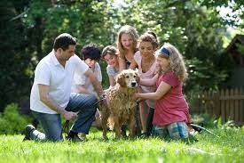 Maybe you would like to learn more about one of these? Family Dog Pictures Download Free Images On Unsplash
