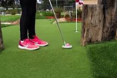 Image result for where first miniature golf course built
