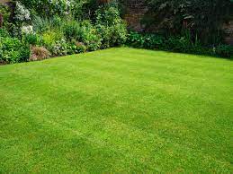 Trugreen Lawn Care Review 2021 This Old House