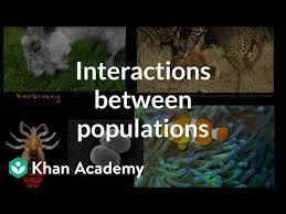 Interactions Between Populations Video Khan Academy