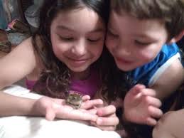 Farm interns completed June cleanup tasks