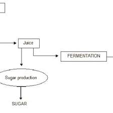 flow chart for bioethanol energy and sugar production from