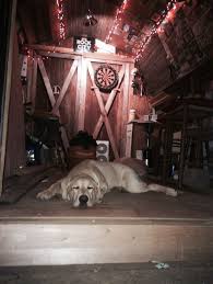 Pin On Man Cave Shed He Shed Backyard Bar Dart Bar Great Place For A Beer Bon Fire