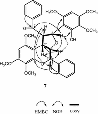 Image result for Uvaria welwitschii