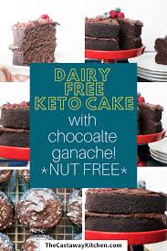 In a pan dessert recipe. Low Carb Chocolate Cake Dairy Free Nut Free Keto Paleo
