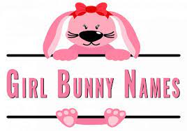 Peaches are sweet, and this is a cute name. 1 200 Girl Bunny Names Cute Names Cool Names Top 10 Names Rabbit Pros
