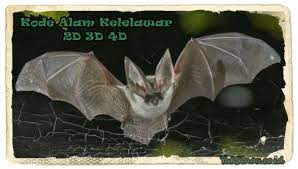 Buku mimpi kelelawar 2d di erek erek tersebut berada di halaman erek erek 49 dan halaman erek erek 37 untuk angka pelarian kalong. Kode Alam Kelelawar 2d 3d 4d Erek Erek Dan Primbon