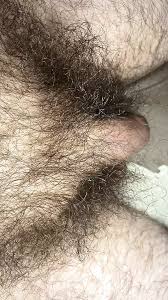 Vue extrême en gros plan de mes très longs poils pubiens autour de ma bite  flasque et non coupée