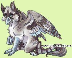 Chicken Smoothie Pet Chickens Pet Adoption Pets