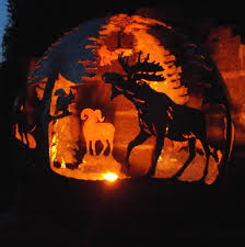 The Moose Feuerkugel Pferde Tiere