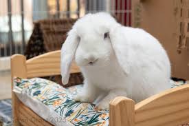 I have no idea what happened to the rest of your banana chips.” 😁