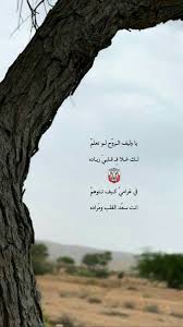 pin by salmah on اعجبتنيي quran quotes inspirational beautiful arabic words photo quotes