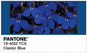 We did not find results for: Pantone Colour Of The Year Classic Blue