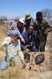 Asteroid that hit Botswana in 2018 likely cam | EurekAlert!