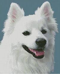 In three simple steps you will transform a picture into a beautiful cross stitch chart. American Eskimo Dog 3 Cross Stitch Pattern