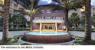 Image result for Melia