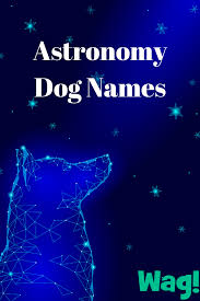 Astronomy Inspired Dog Names Wag Dog Names Top Dog Names Puppy Names