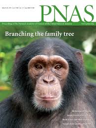 Transcriptional and posttranslational up-regulation of HER3 (ErbB3)  compensates for inhibition of the HER2 tyrosine kinase