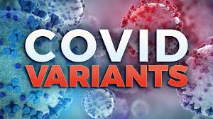 New variant appears to be spreading in different pockets of english population. Case Of South African Covid Variant Confirmed In Tennessee Wjhl Tri Cities News Weather
