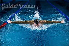 Comment Avoir Une Piscine Olympique A La Maison Guidepiscines Fr