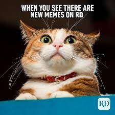 There is hidden sarcasm in some of the memes which are very funny in nature that reveal themselves only later. 40 Funny Animal Memes Reader S Digest