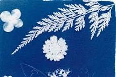 The Art of Sun Printing: Cyanotype Workshop