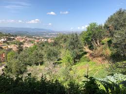 Tizi ouzou florist & gift basket shop. Assi Youcef Wikipedia