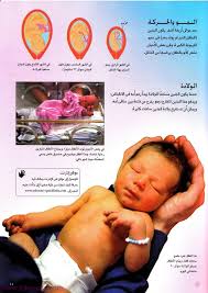 جسم الإنسان فيونا شندلر Free Download Borrow And Streaming Internet Archive In 2020 Internet Archive Language Terms Of Service