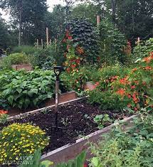 4 8 Raised Bed Vegetable Garden Layout Ideas What To Sow Grow Garden Layout Garden Layout Vegetable Backyard Garden Layout