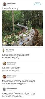 текст песни а вы не знаете почему живот болит 19 Primerov Togo Kak Nekotorye Mogut Odnim Kommentariem Otpravit V Nokaut Smeshnye Memy Memy Smeshnoj Yumor