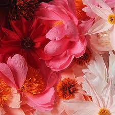 Paper Flowers By Uk Paper Flower Artist A Petal Unfolds Paper Flowers Paper Flower Art Flowers